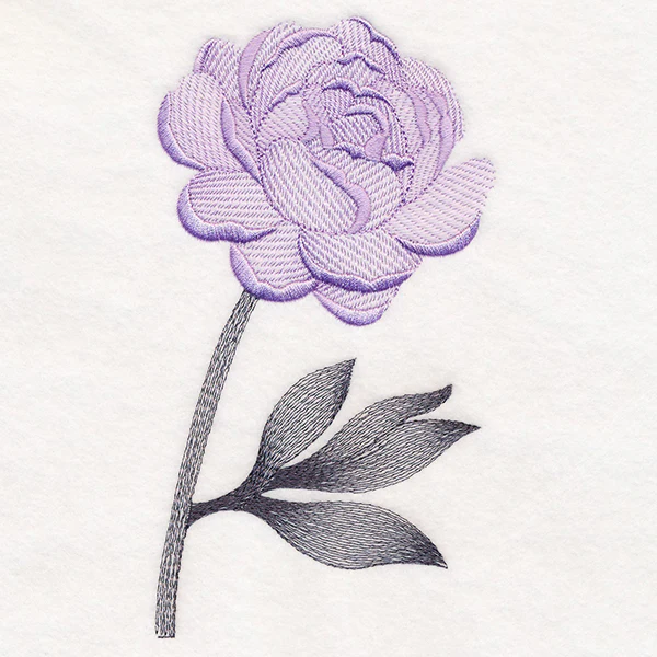 Pretty Peony - Image 4