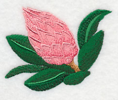 Protea Flower Bud 2 - Image 3