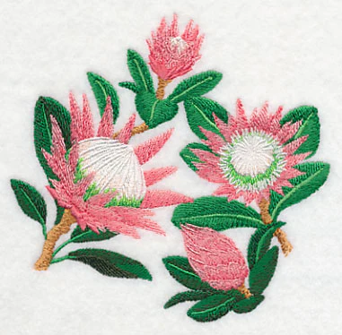 Protea Flower Collage - Image 4