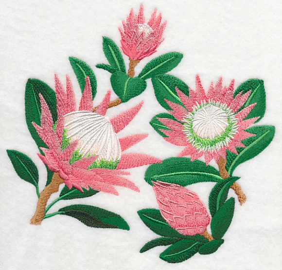 Protea Flower Collage - Image 5