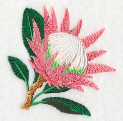 Protea Flower Single 1 - Image 2