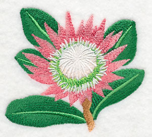 Protea Flower Single 2 - Image 3