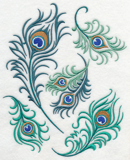 Proud Peacock Feather Collage