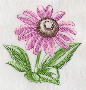 Purple Coneflower Beauty - Image 5