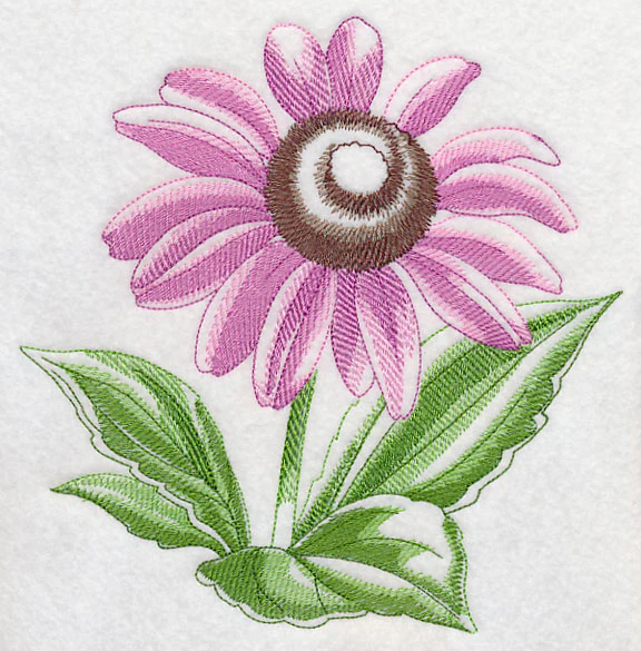 Purple Coneflower Beauty - Image 6