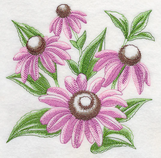 Purple Coneflower Sketch - Image 2
