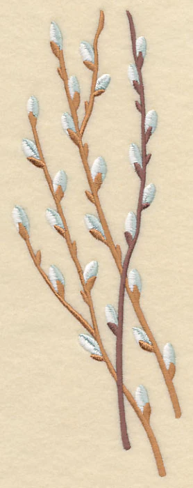 Pussy Willow Bunch 1 - Image 2
