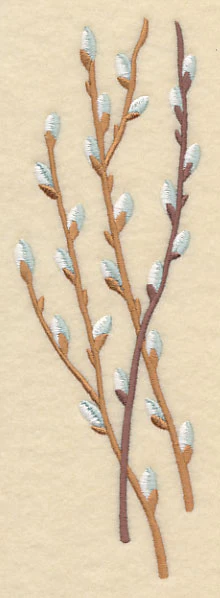 Pussy Willow Bunch 1 - Image 3