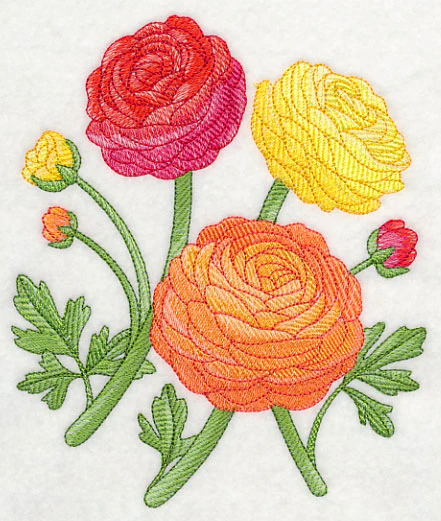 Radiant Ranunculus 2 - Image 3