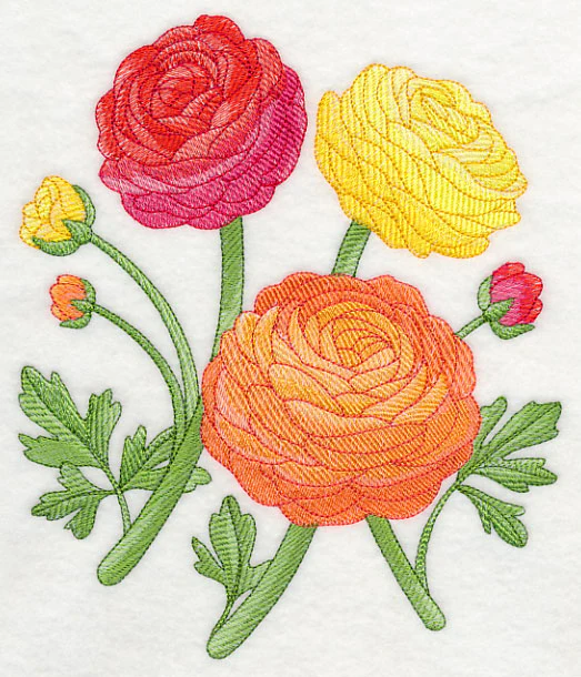 Radiant Ranunculus 2 - Image 5