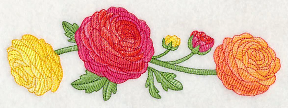 Radiant Ranunculus Border - Image 3