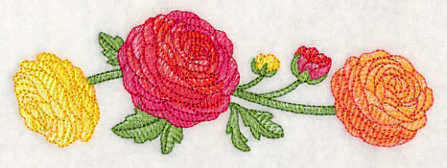 Radiant Ranunculus Border - Image 4