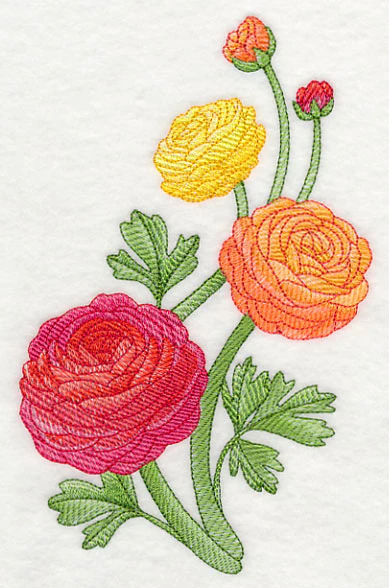 Radiant Ranunculus Spray - Image 3