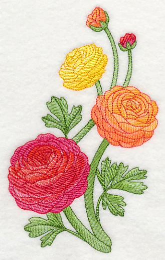 Radiant Ranunculus Spray - Image 4