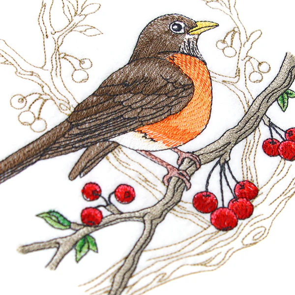 Radiant Robin Medley - Image 6