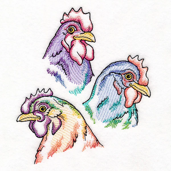 Rainbow Chicken Portrait - Image 3