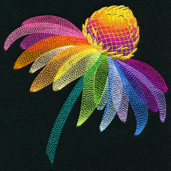 Rainbow Coneflower - Image 3