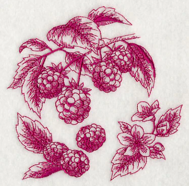 Raspberry Botanical (Toile) - Image 4
