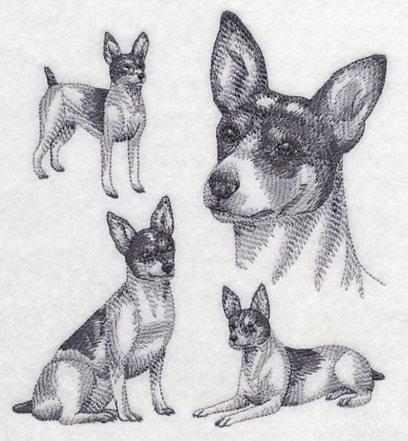 Rat Terrier Sketch - Image 2