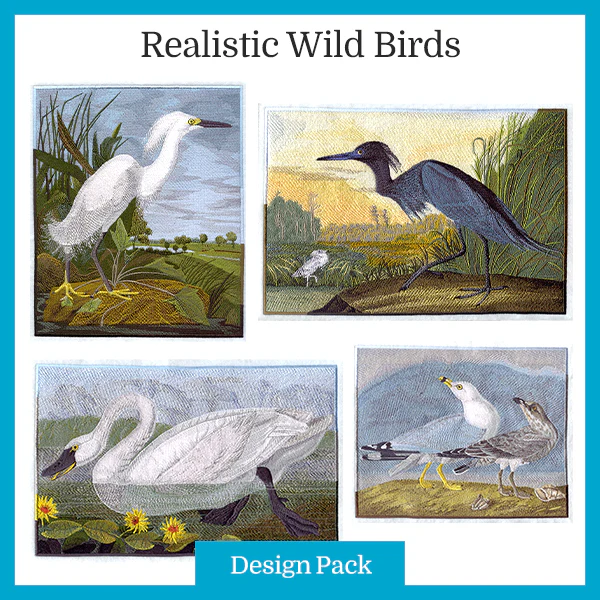 Realistic Wild Bird Design Pack - Image 2