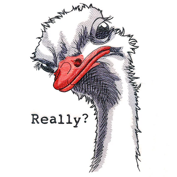 Really? Ostrich - Image 6