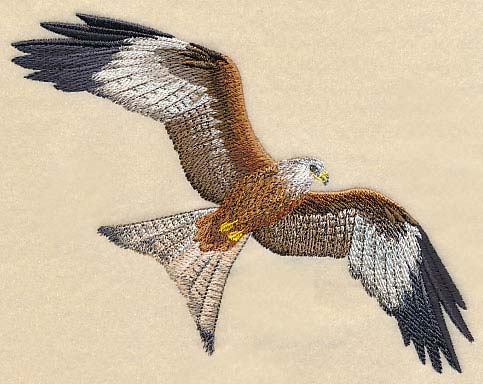 Red Kite Flying - Image 3