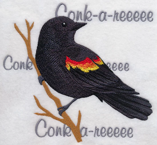 Red-winged Blackbird Song - Image 4