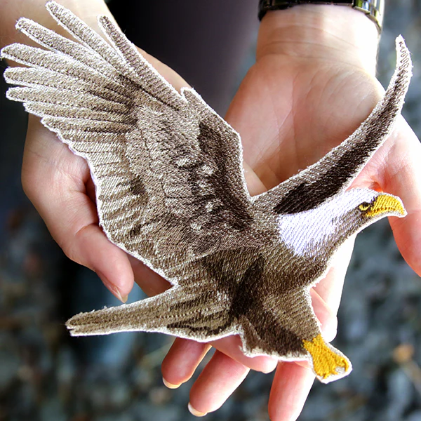 Regal Soaring Eagle - Image 10