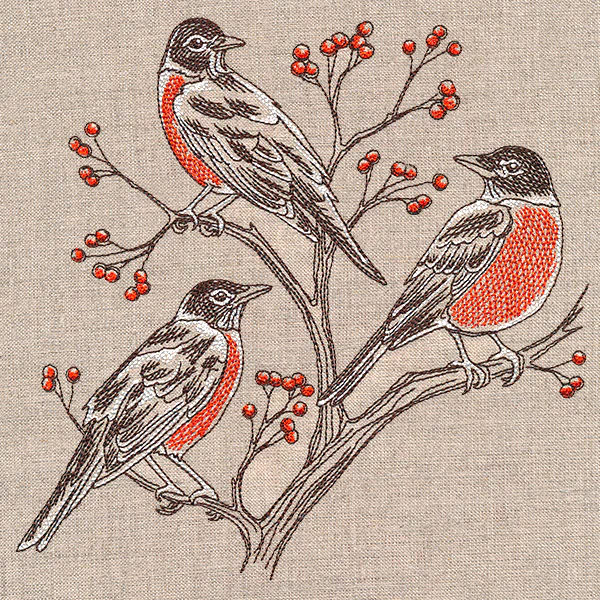 Resting Robins Trio - Image 3