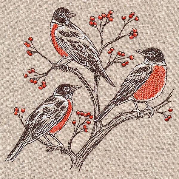 Resting Robins Trio - Image 5