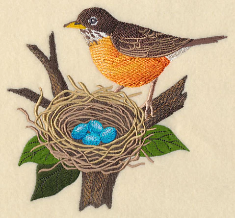 Robin and Nest - Image 2