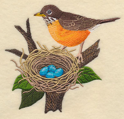 Robin and Nest - Image 3