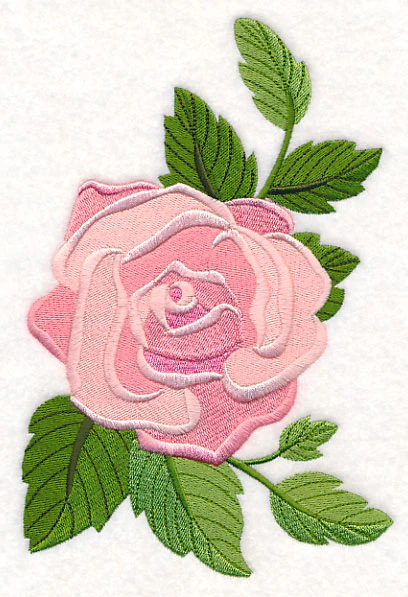 Rose Bloom
