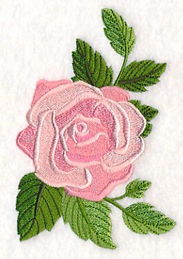 Rose Bloom - Image 4