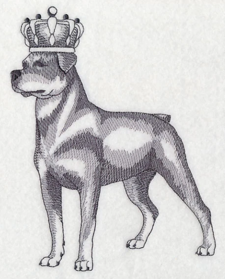 Rottweiler in Crown - Image 4