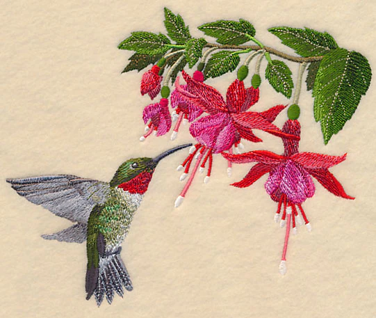 Ruby-Throated Hummingbird and Fuchsia - Image 2