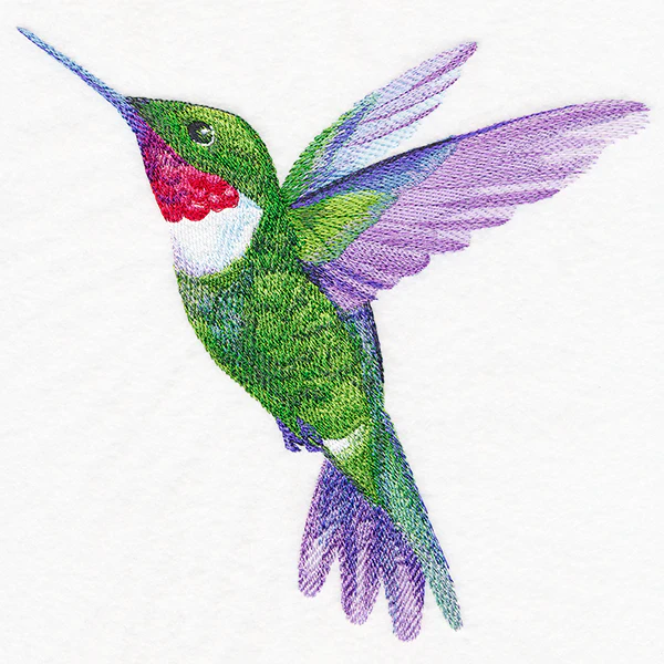 Ruby-Throated Hummingbird in Watercolor - Image 9