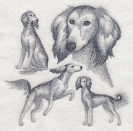 Saluki Sketch - Image 3