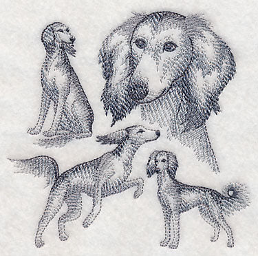 Saluki Sketch - Image 4
