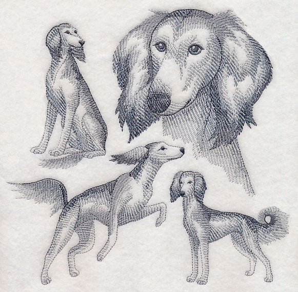 Saluki Sketch - Image 5