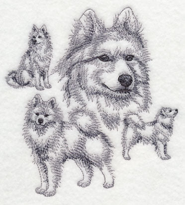 Samoyed Sketch - Image 3