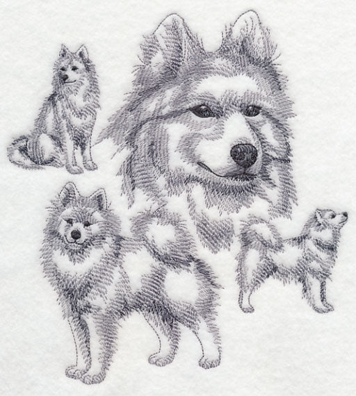 Samoyed Sketch - Image 4