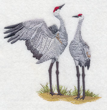 Sandhill Crane Pair - Image 3