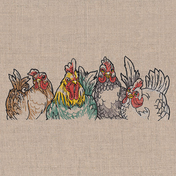 Sassy Chickens Border - Image 5