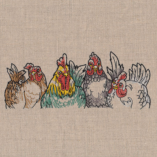 Sassy Chickens Border - Image 7