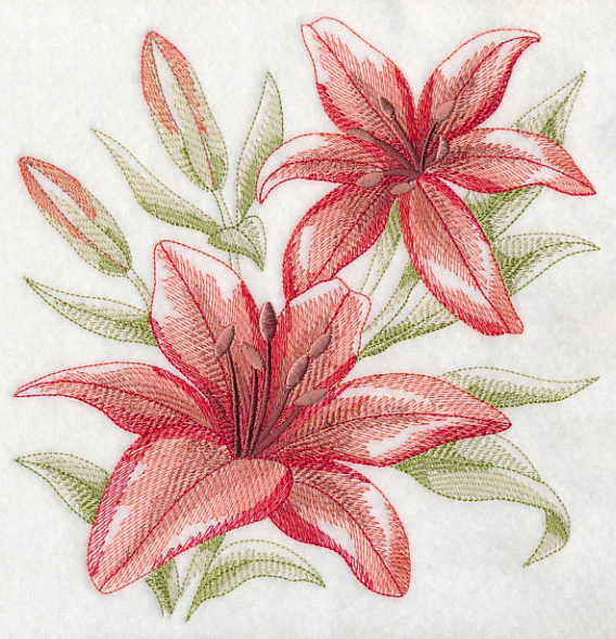 Scarlet Lilies Sketch - Image 6