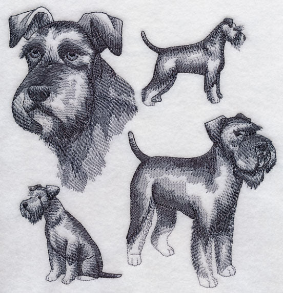 Schnauzer Sketch (Full Tail and Ears) - Image 5