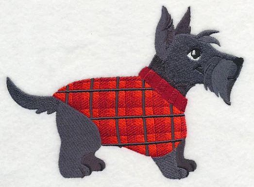 Scottie in Sweater - Image 2