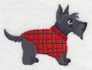 Scottie in Sweater - Image 4