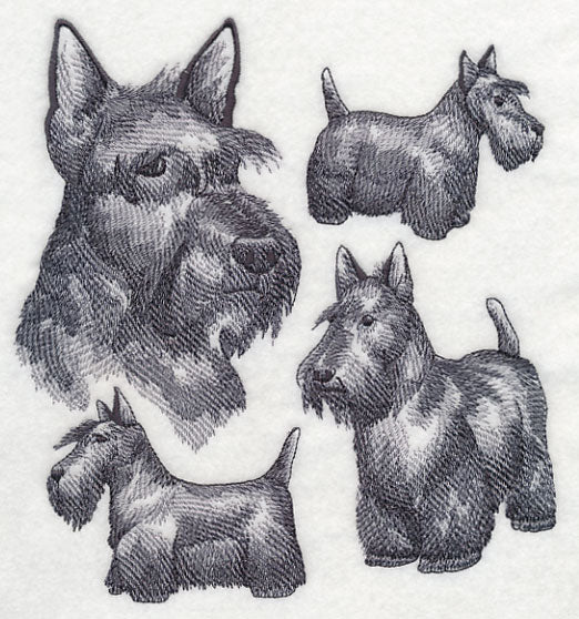 Scottish Terrier Sketch - Image 4